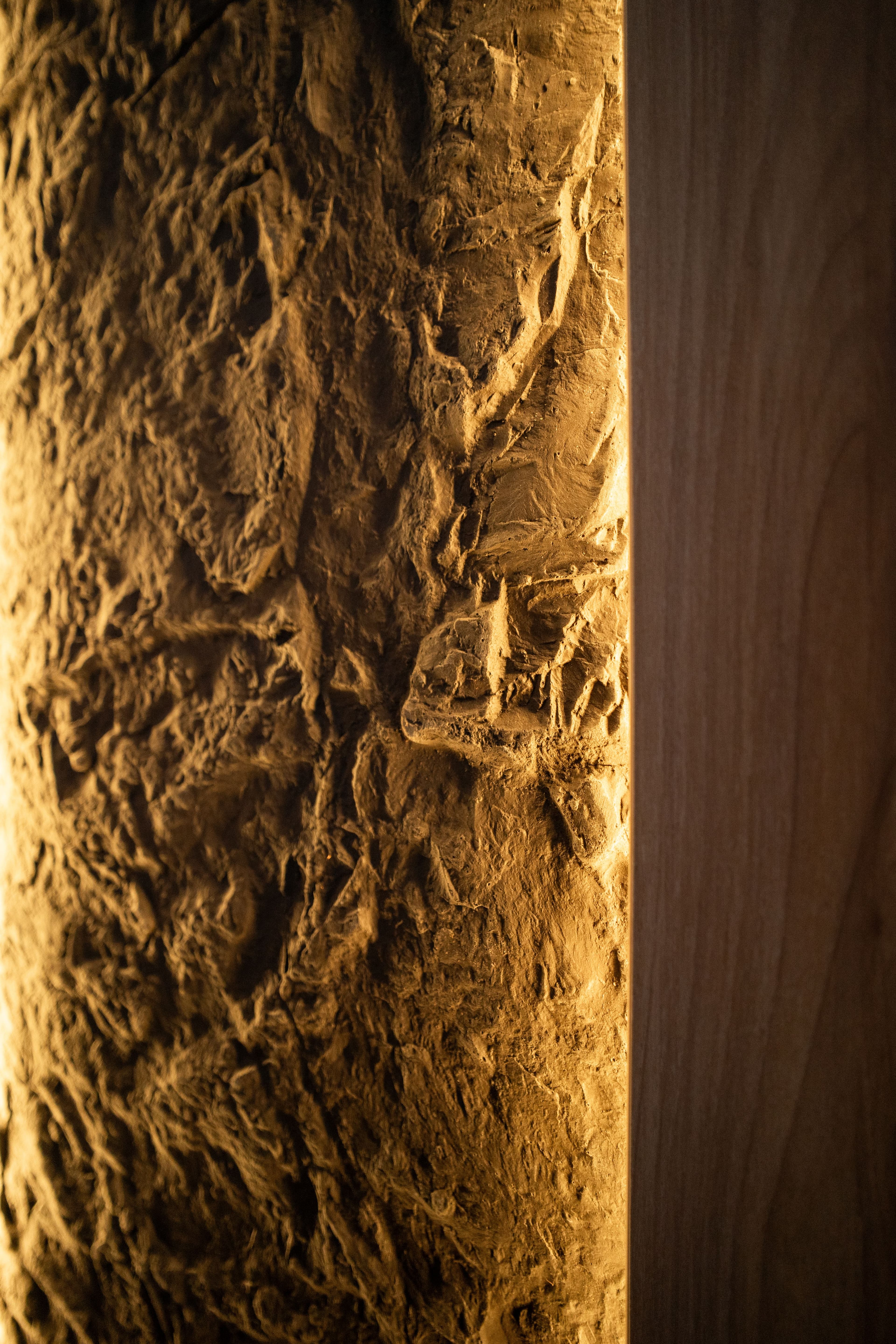 Proyecto Leloir — imagen 3